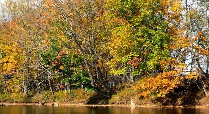 Farm by the River Bed and Breakfast with Stables