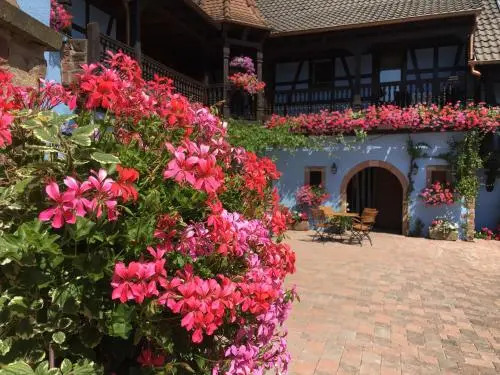 Maison Kieffer - Hotel & Vins dAlsace