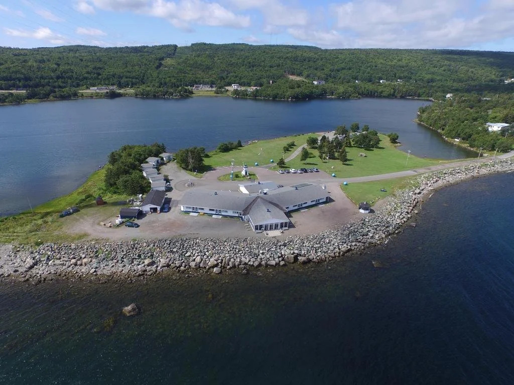 The Cove