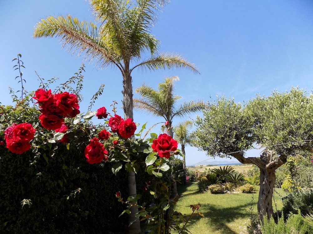 B&B Vista Egadi