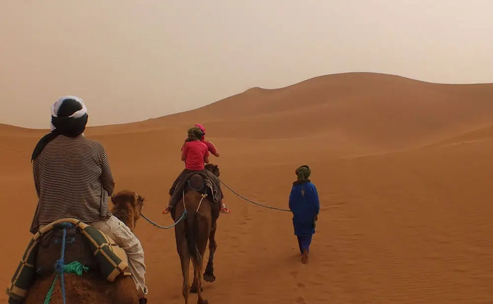 L'Oasis Berbère
