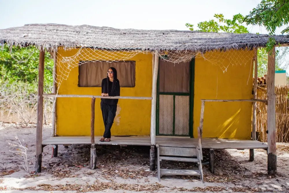Bonobo Lodge