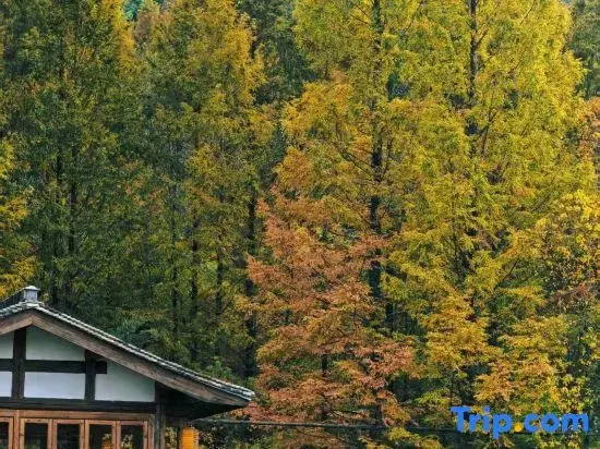 Hongcun knows • Food House B&B (Tachuan Scenic Area)