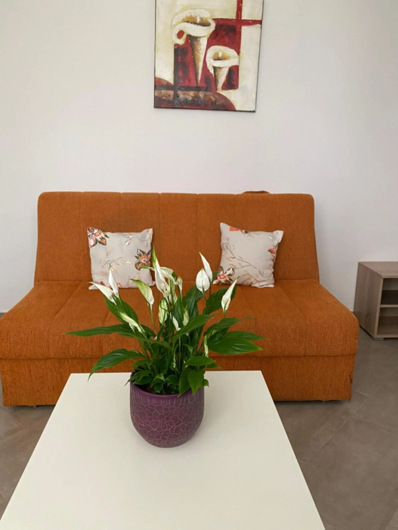 Dajkovic Apartmani