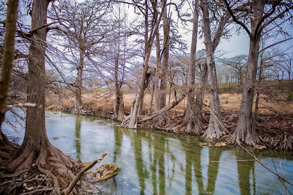 Wild Arrow Ranch