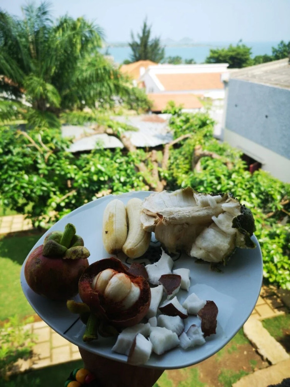 Monteiro Paradise Guest House
