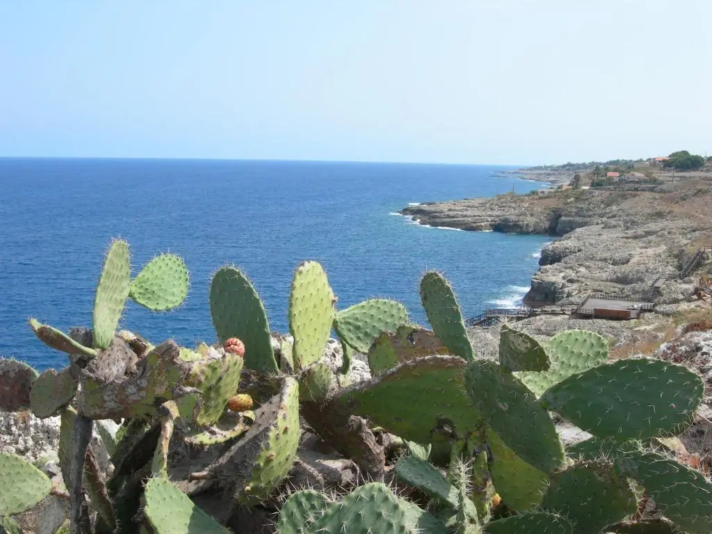 Casavistamare