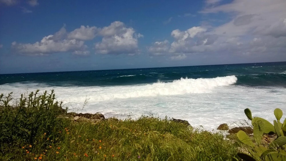 House With in Palermo With Wonderful sea View Enclosed Ga