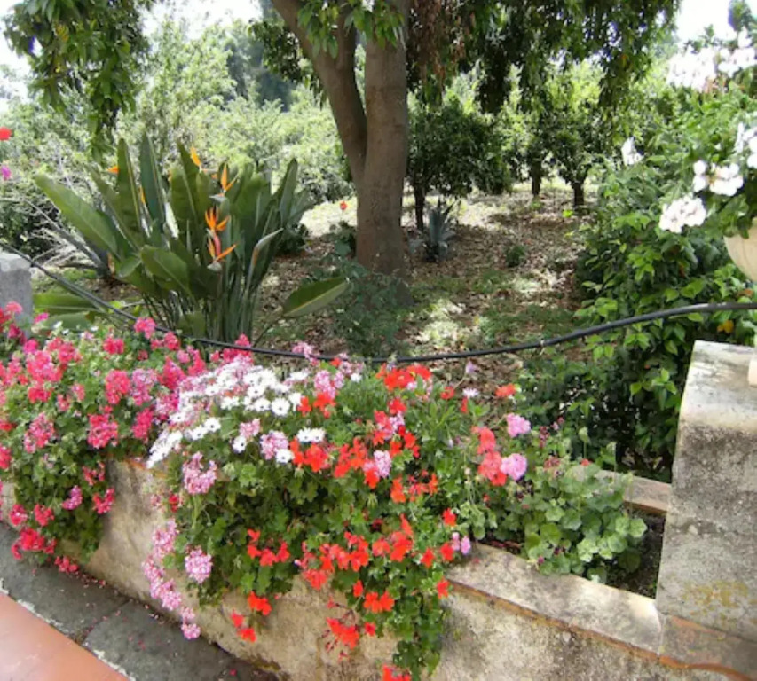 Baglio Delle Rose