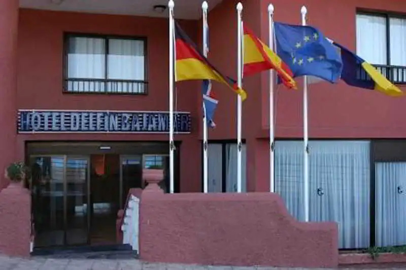 Delfin Bajamar