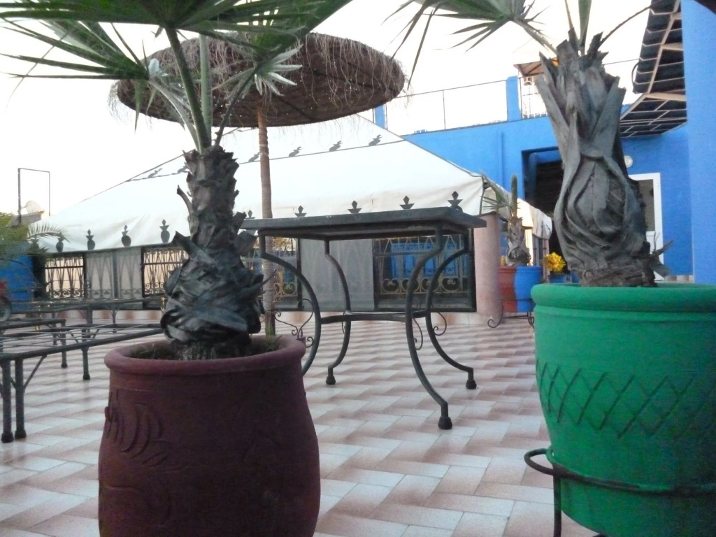 Riad Losra