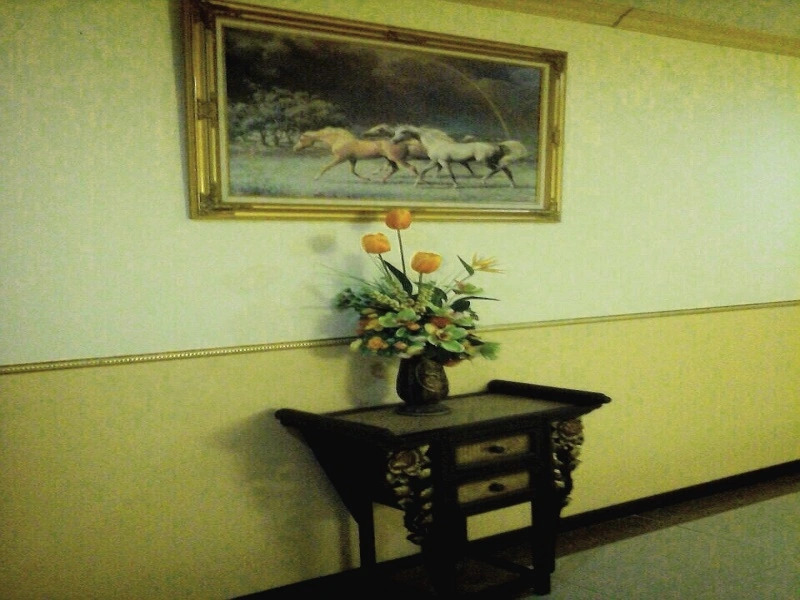 Phusuay Park View Hotel