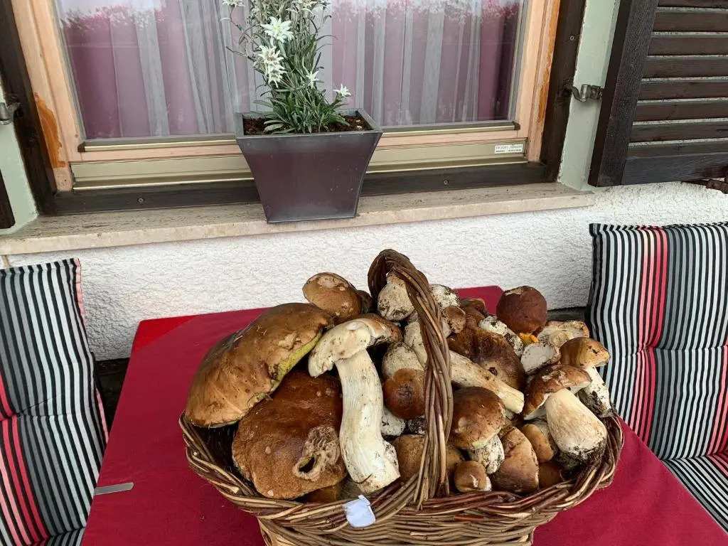 Alpenblick Bed & Breakfast