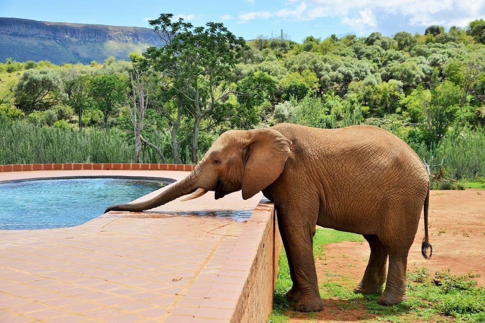 African Hills Safari Lodge & Spa