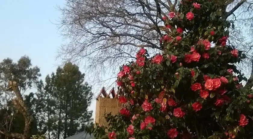 Casa Nova