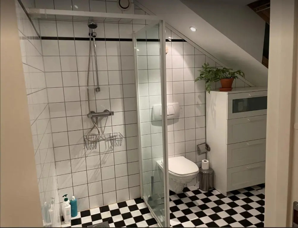 The Urban Penthouse