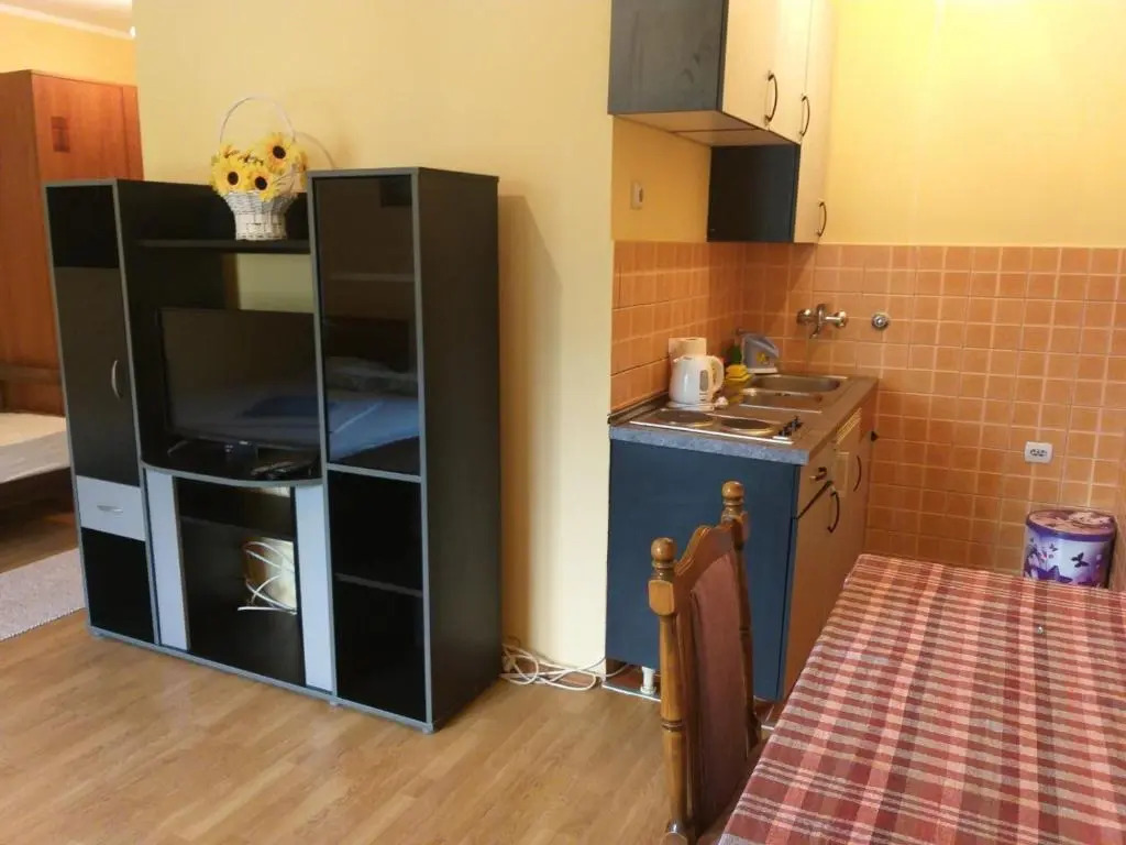Apartment Davidovic