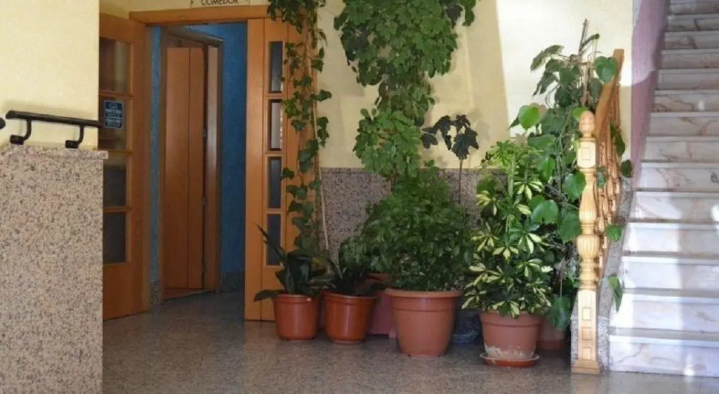 Hostal Vadillo