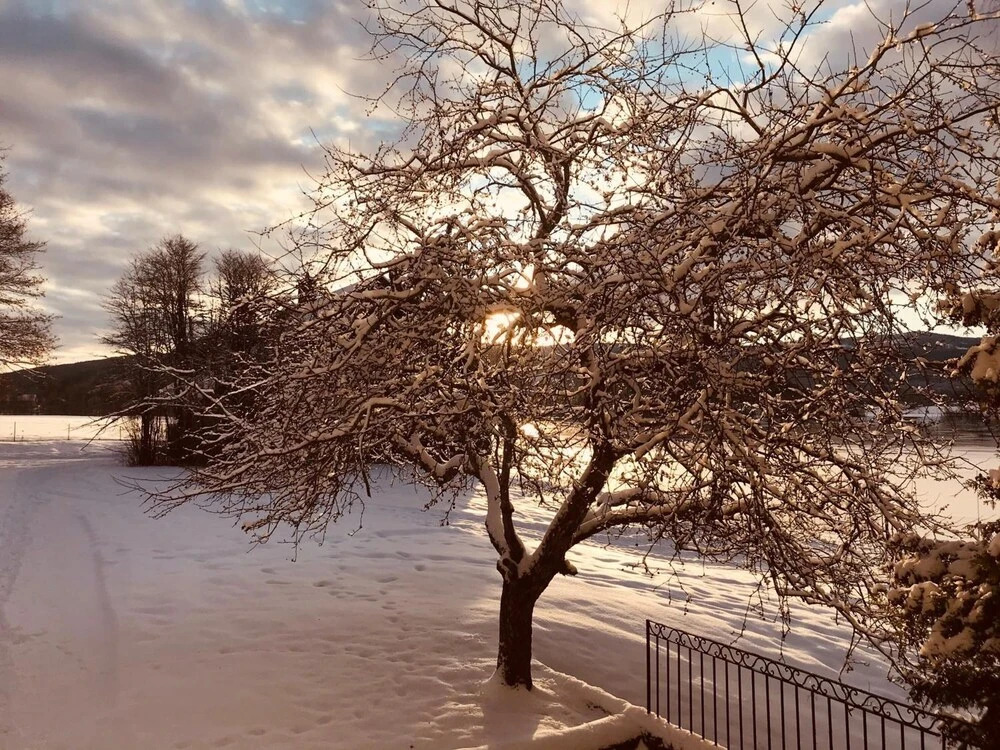Sole Gjestegård