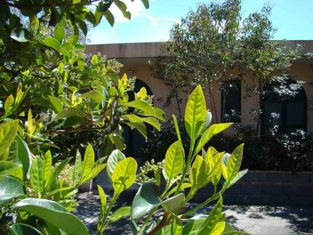 Villa Archegeta