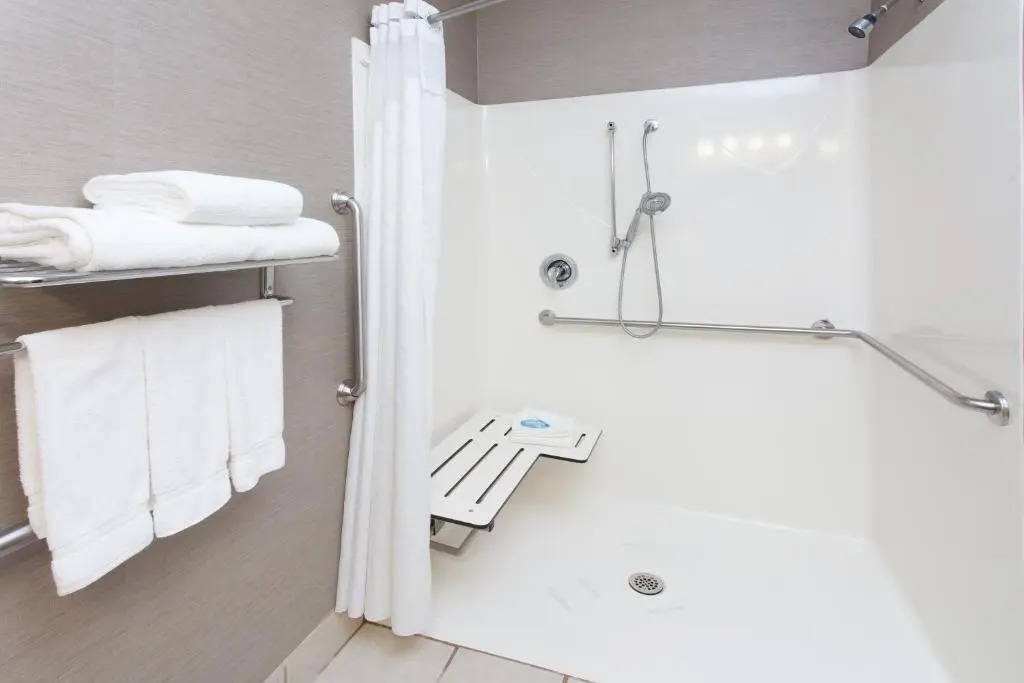 Comfort Inn & Suites Buford near Mall of Georgia