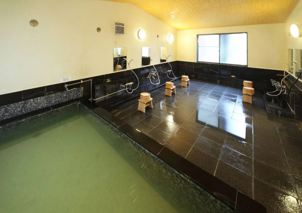 Ashinoko Ichinoyu Hotel