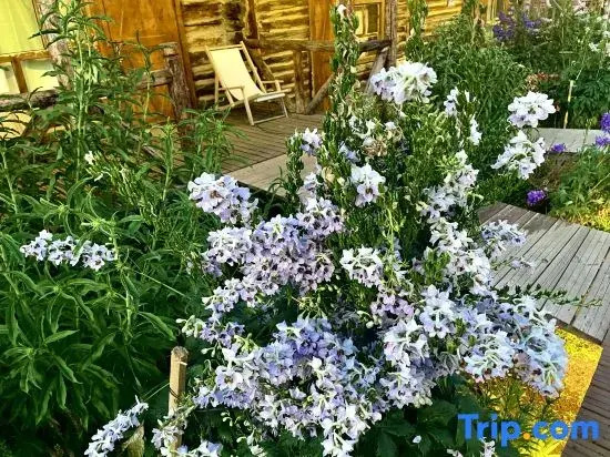 Hemu Wuyin Mountain House Homestay