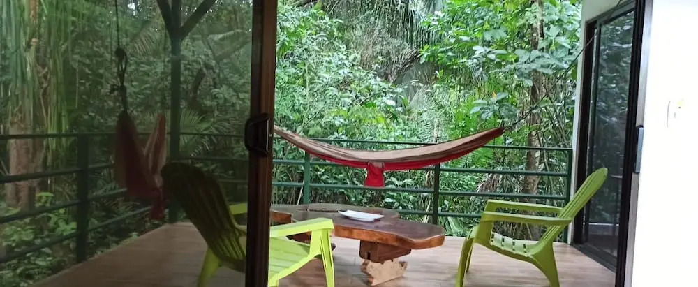 Selva Linda Lodge jungle wildlife vue and birdwatching