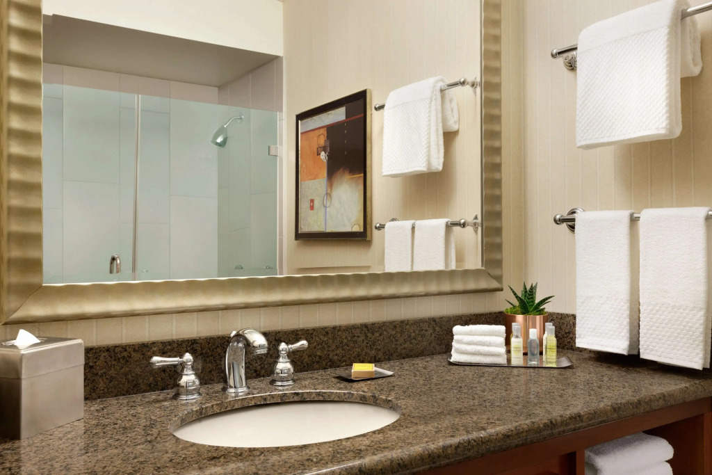 DoubleTree by Hilton Minneapolis Park Place
