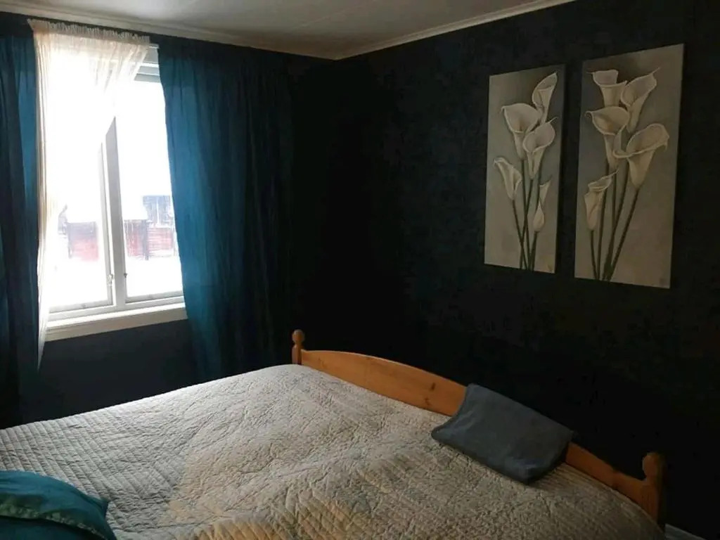 Dzintras House