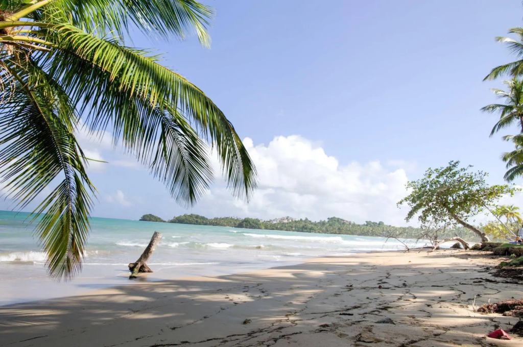 Turtle Lagoon Beach