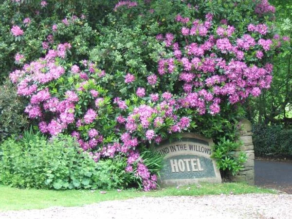 The Wind in the Willows Country House Hotel