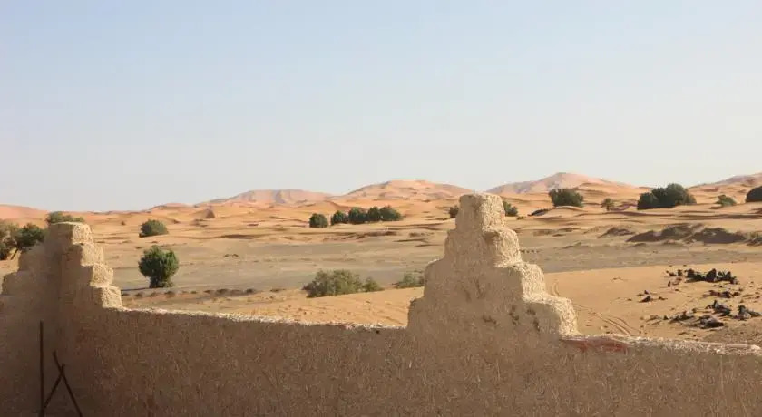 Dans Les Dunes