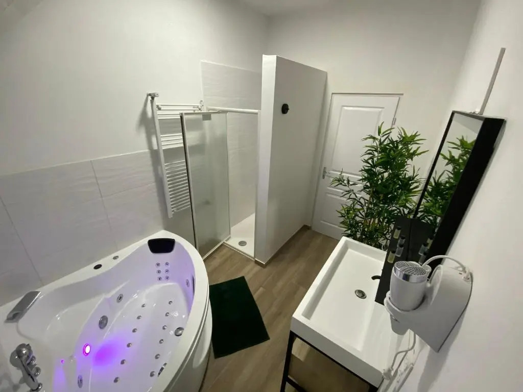 Zen - Roubaix-Lille - Balneo - Home Cinema - Billard