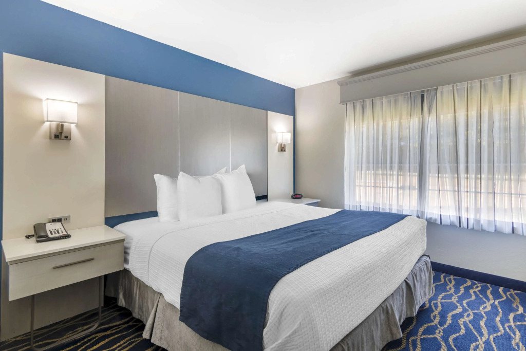 Best Western Plus Lake Lanier Gainesville Hotel & Suites