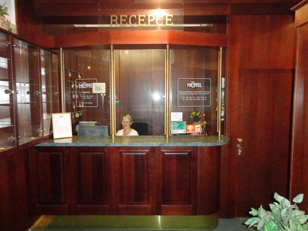 Hotel U Hroznu