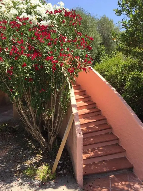 Il Fenicottero Rosa