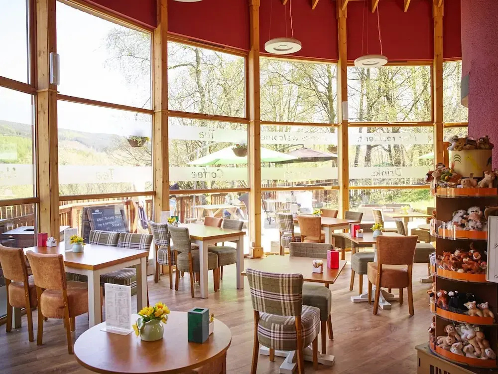 Strathyre, Ben Ledi Cabins - Forest Holidays