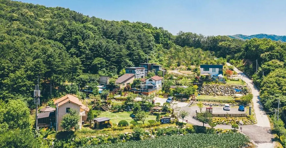 Iris Pension