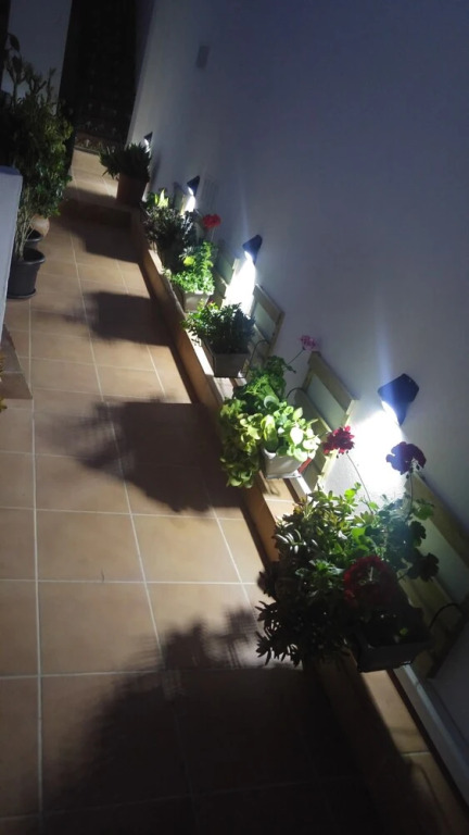 Roka Apartment