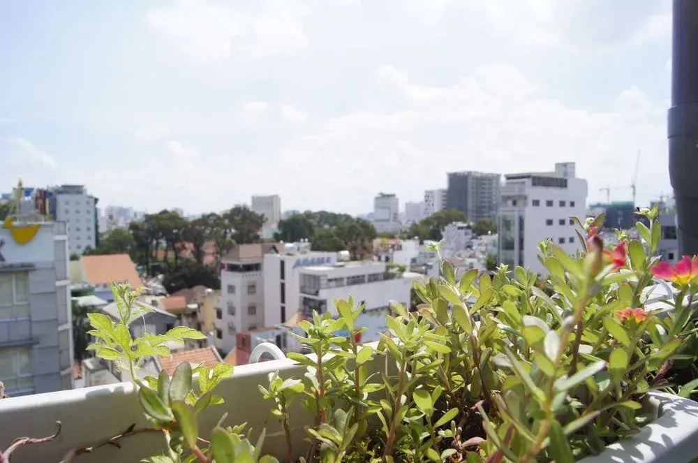 HoLo Garcerie Saigon Serviced HomeStay