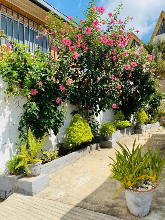 Chez Jeanne Chambre d'Hôte