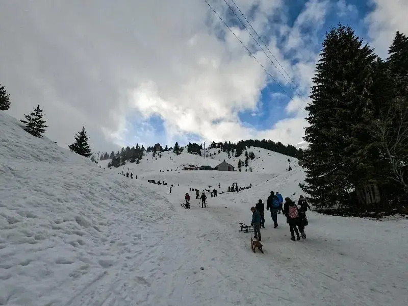 Matias Nature - Raízes da Vinha - Boutique Mountain Stay in Serra da Estrela, Seia