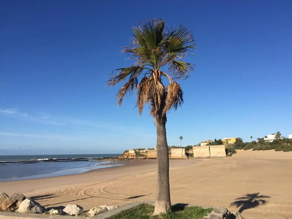 Wix Playa Puerto Sherry