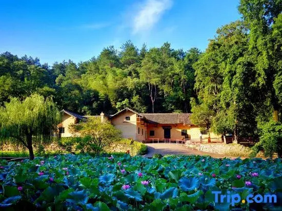 Shaoshan Ze Residence small home stay