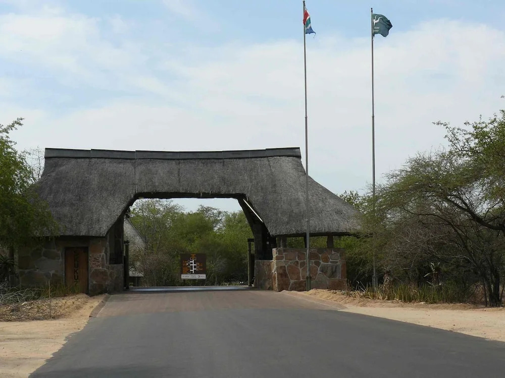 Kruger Park Tours