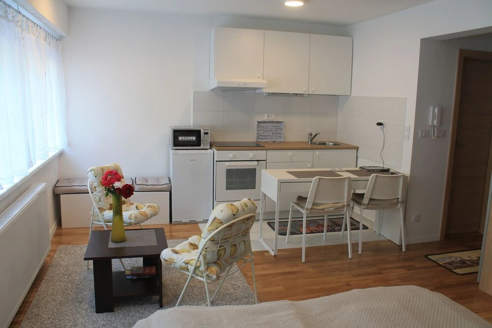Studio Apartment Mali Ty