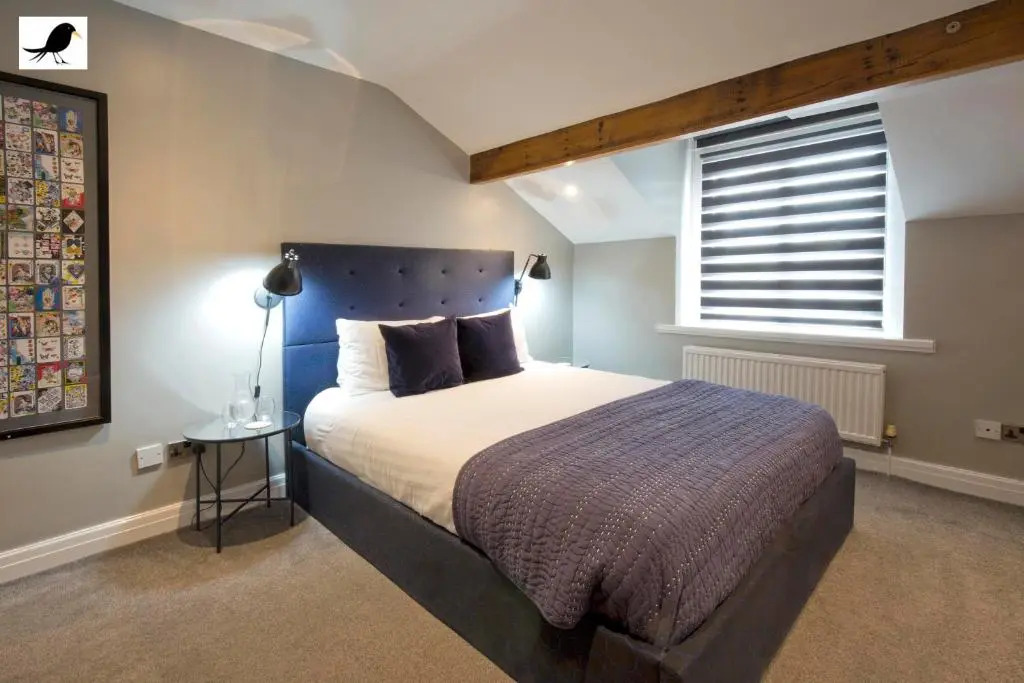 Blackbird Luxury Apartments Room 4