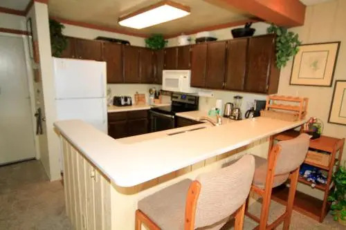 Mammoth Ski Racquet Club 120 - Pet Friendly