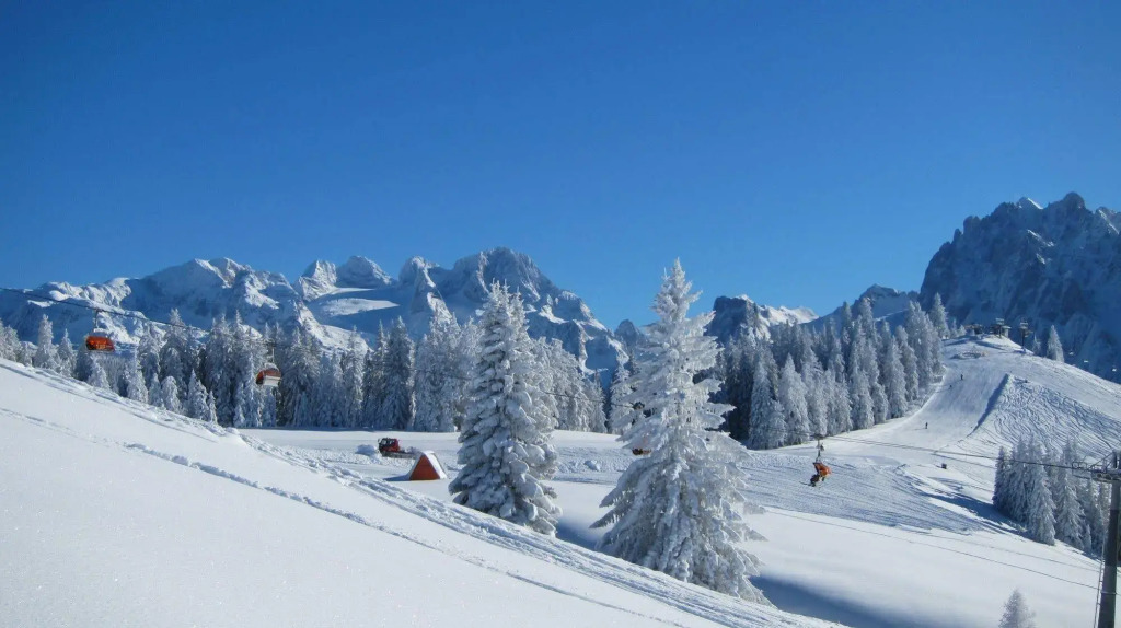 Gasthof Waldwirt
